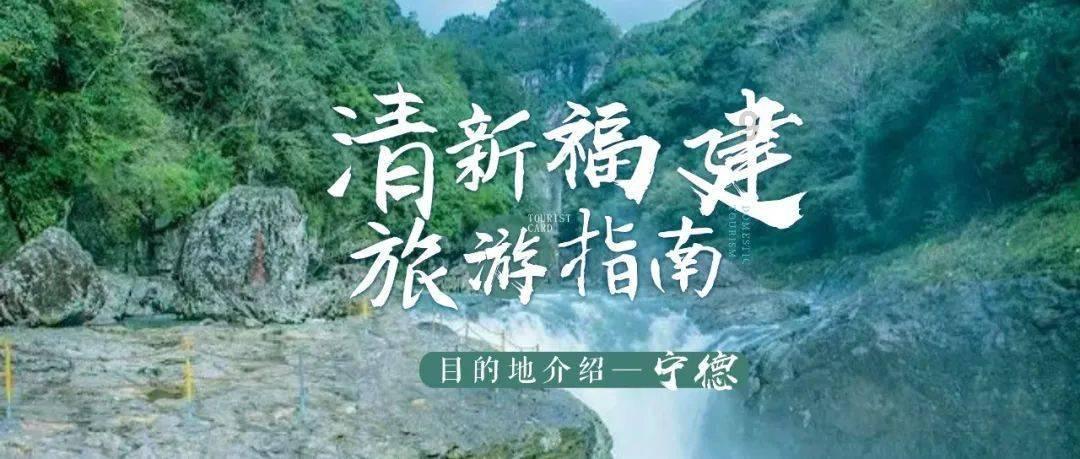 乒坛巨星邓亚萍转型势能官,为体育事业再添一抹亮色!